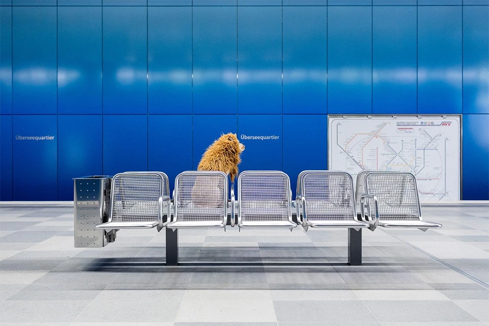 12-34-990x660.jpg?iv=10