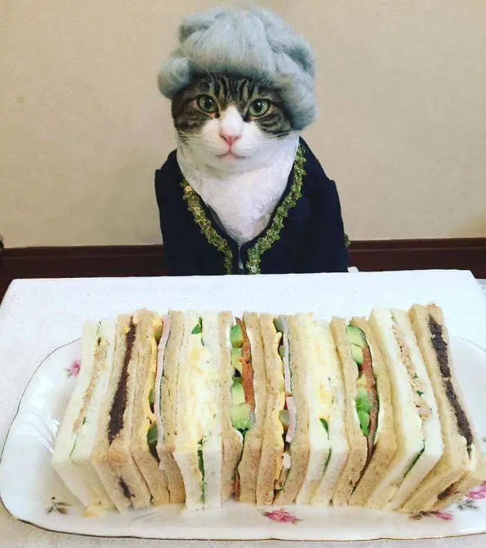 342cd9dfc03d35c2.orig