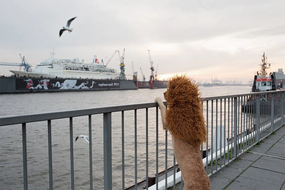 3-61-990x660.jpg?iv=10