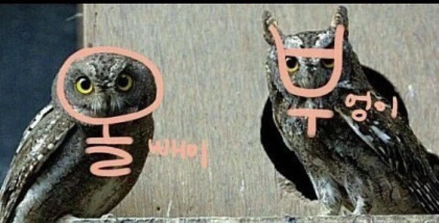 264F0B3458DBC4C728B6C1