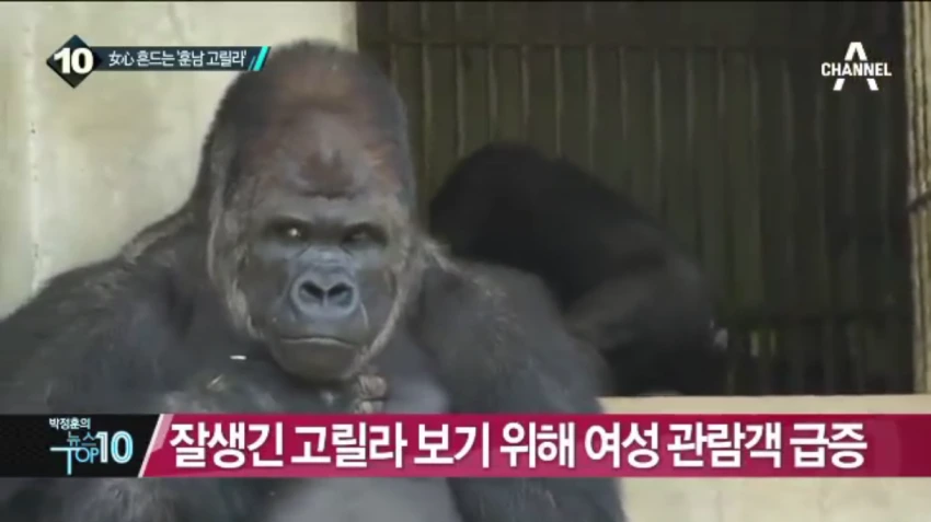 9ed10923f2e9c06f.orig