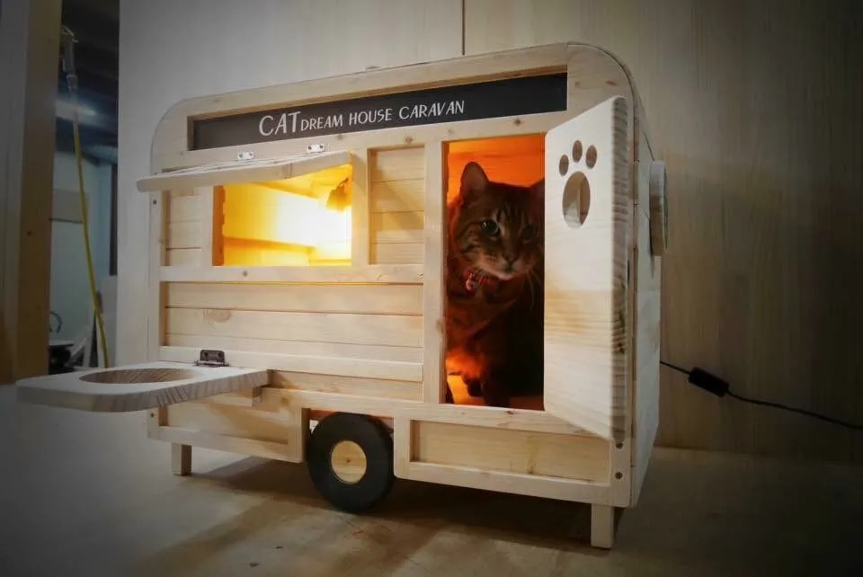 c1b35fb5e2284342a13.JPG?w=780&amp;h=30000&amp;gif=true