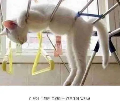 ebf8f8f945050616.orig