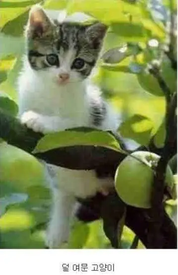 78dd812950bbab4e.orig