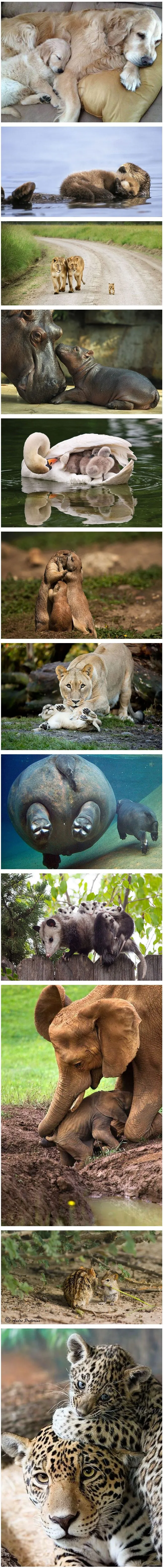 87cc935c49720bfc.orig