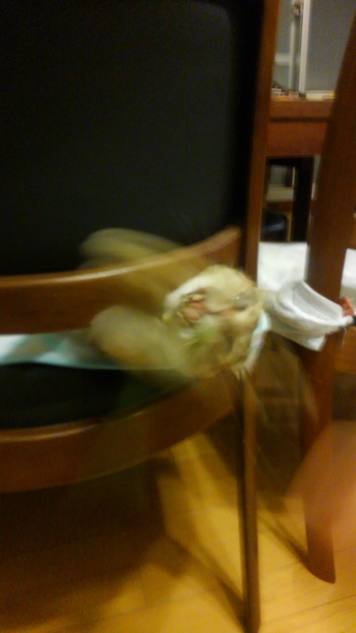 276861bf44e6c0.jpg?w=780&amp;h=30000&amp;gif=true