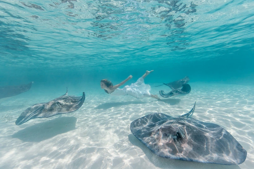 214ACA4D5388322A33F603