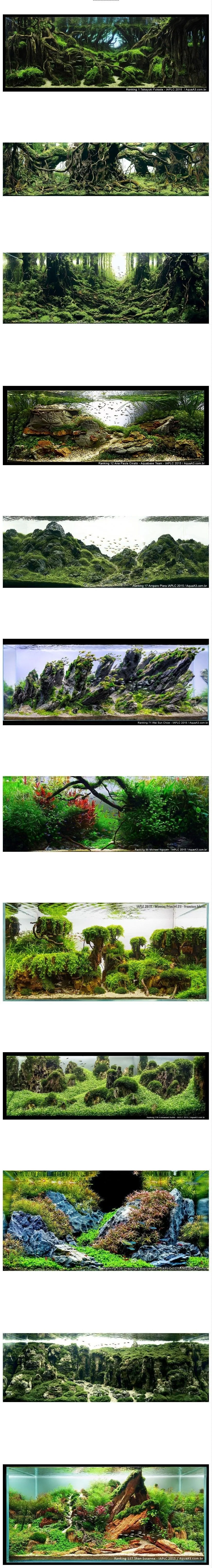 53552cba26377394.orig