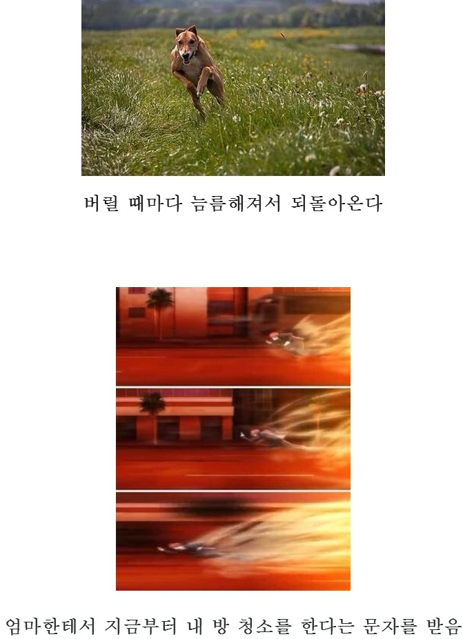 991E1A345A45D4041156CB