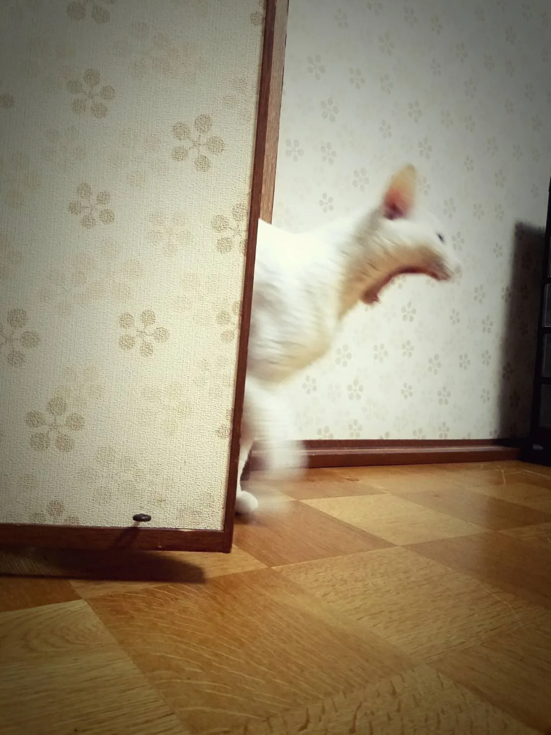 27684f7f97dc1e.jpg?w=780&amp;h=30000&amp;gif=true