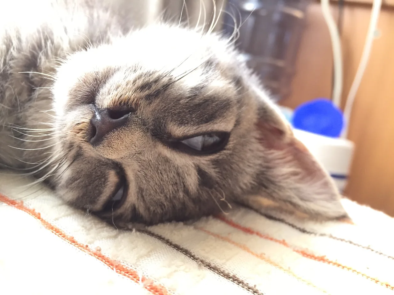 276844c6e38ddf.jpg?w=780&amp;h=30000&amp;gif=true