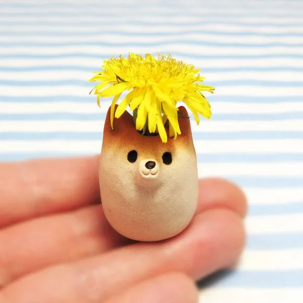 a63918e3f32c49b5.orig