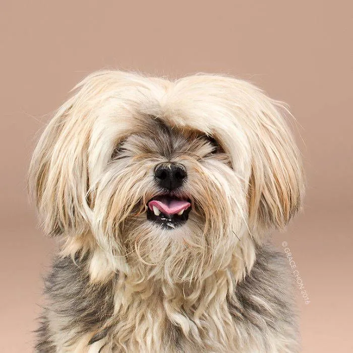 796da4d2362b9cc1.orig