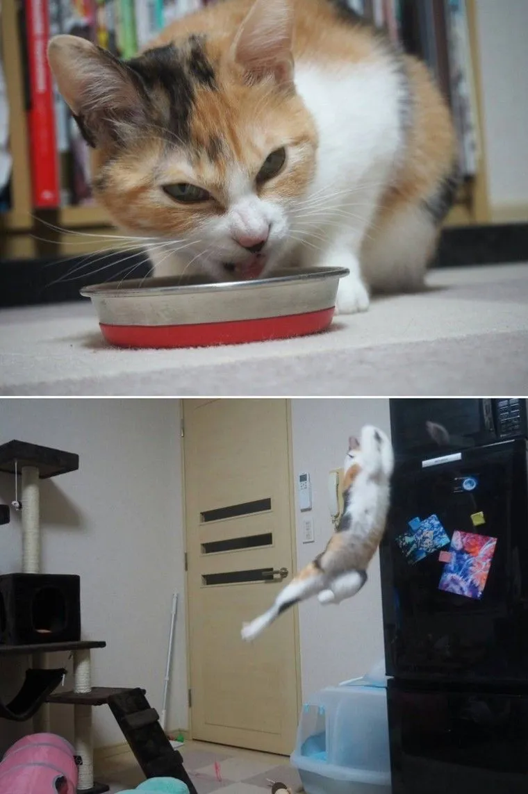 dba14b521f61ac9a.orig