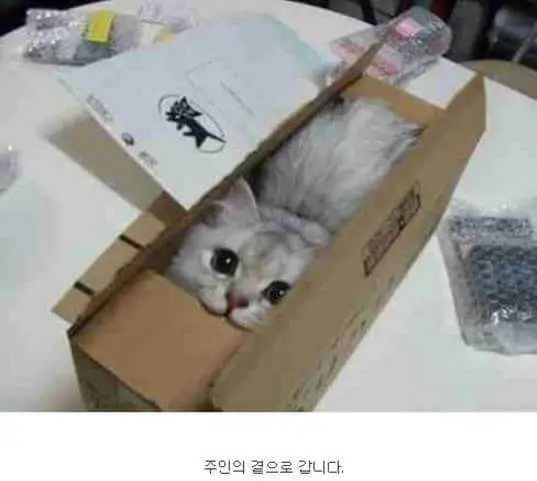 cbbcb12a41d5f0c9.orig