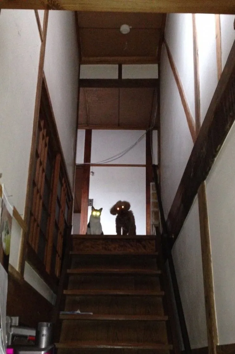 8d6d35b5ad284257.orig