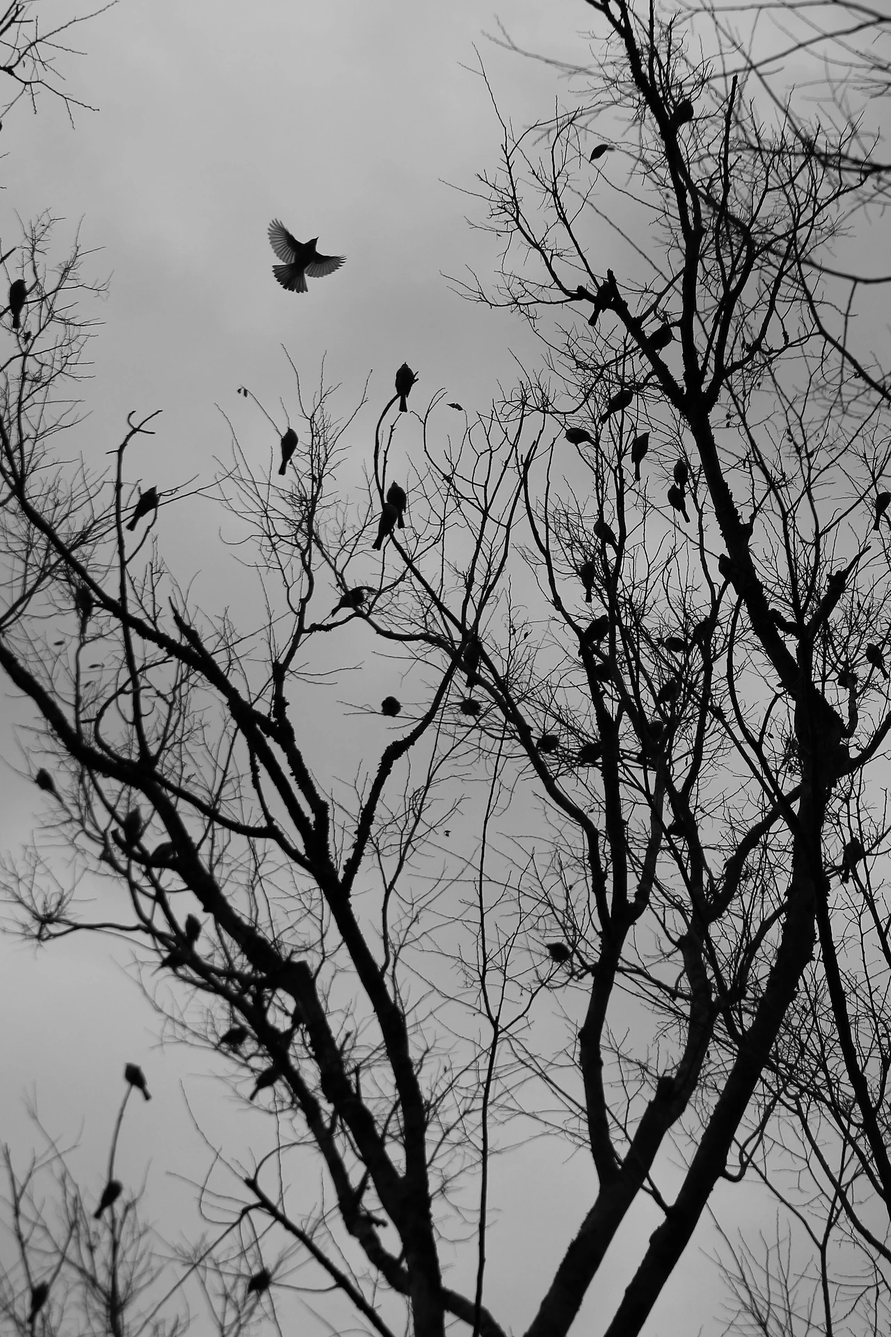 Life_직장인 4년차.JPG