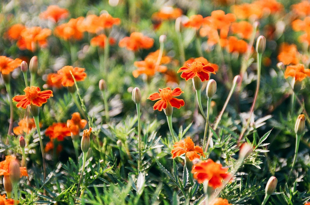 Life_9 생명을 위한 머뭇거림.JPG