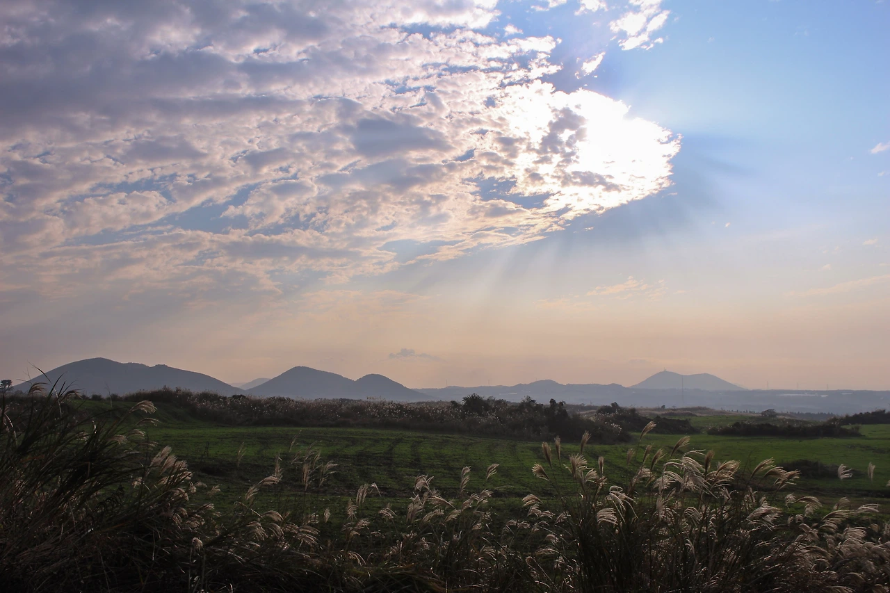 Life_5 오만한 존재감.JPG