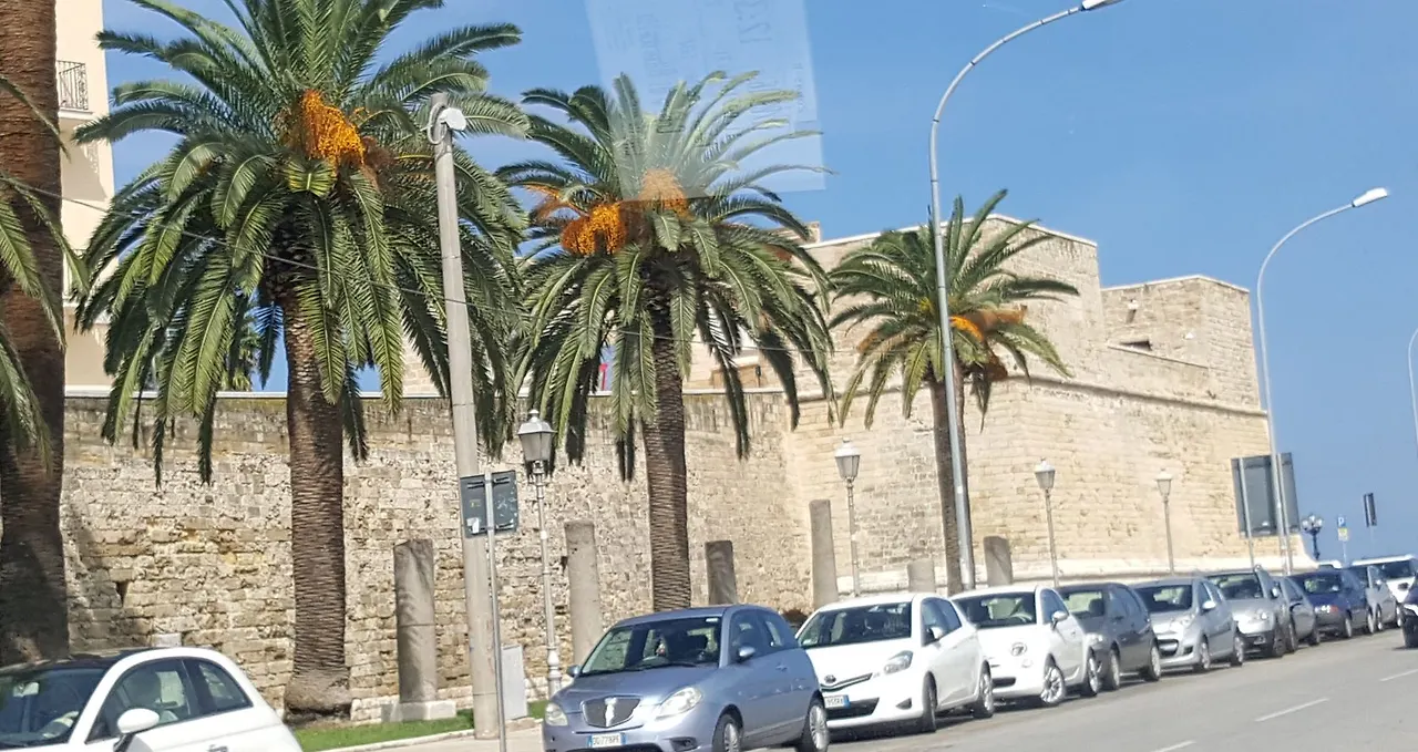 바리의 야자수.JPG