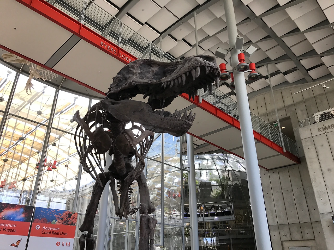 캘리포티아 과학 아카데미.JPG