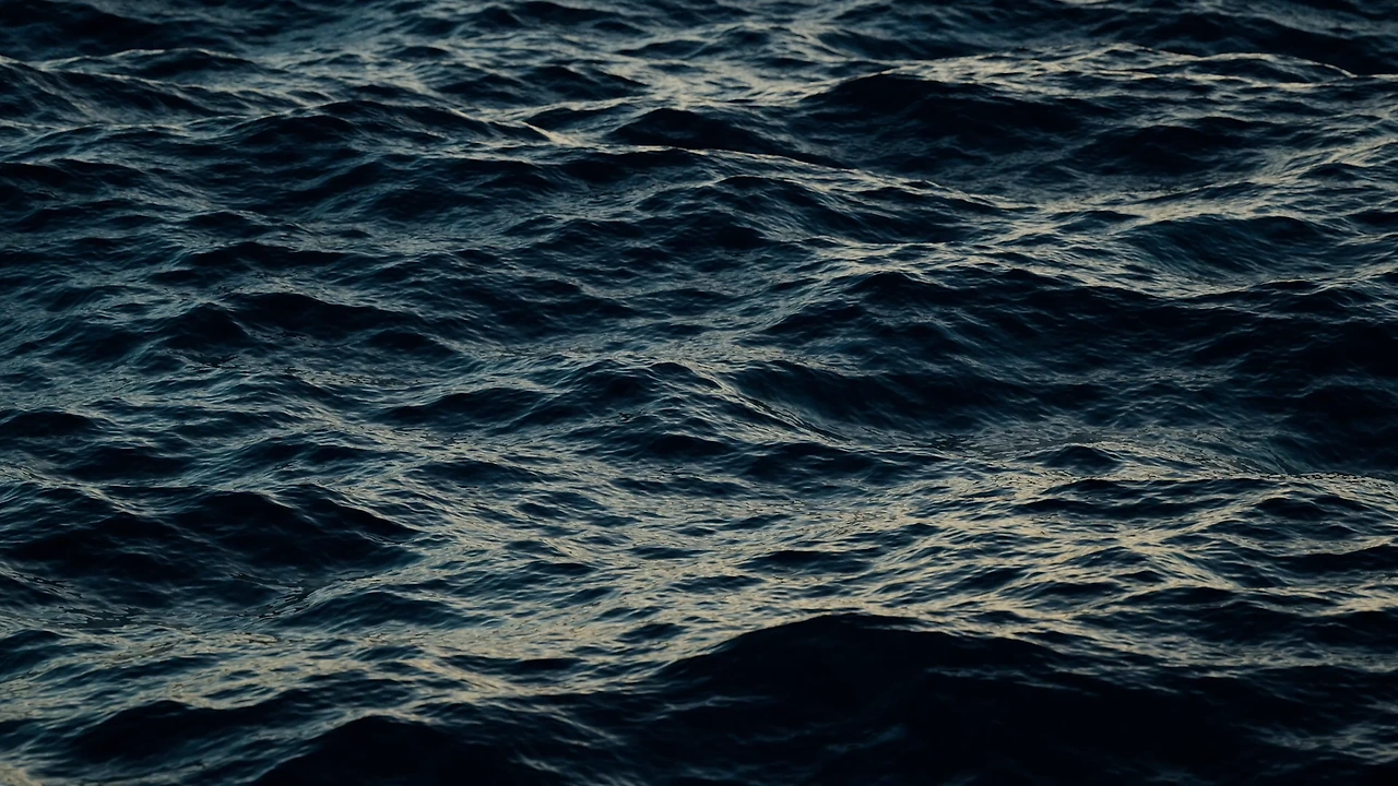 20230505_110442.00_01_57_11.스틸 002.bmp