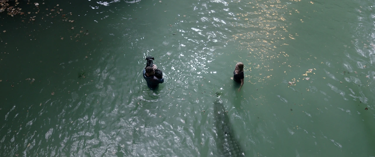 eb45ad866b554ffe8b9a6bec89d5b22b1572318366239