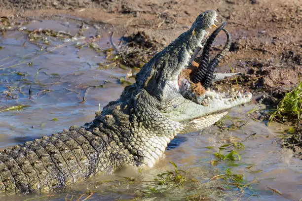 00d00c185c8cdb69f0b68524d042a9d19d37bfc072a0606c3aba9e7940e550ccbdf9115f603b7757c250ed5d76092967b499f901a59fb4aebe7da3df36cf69f27857d427f62aa5d22a6935eb30fcaa3aebb6d09d50681e122a617248f5448d04