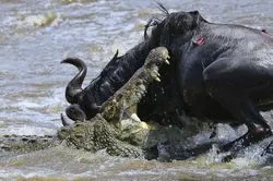 392e92859f2854c7ff718a551bf07dade77a4fb7710adefb7619f8529338c81807dea71e6e1c5a1658d3c75cb67e56681fef3097061f51a2abdcc1f262cd94f98805cd801352d0c17cd66b1bec6bd707b1874700c08cb9ec6131aa4409be2d3bc618162c1dd4c44a7f638dfac2ed8461