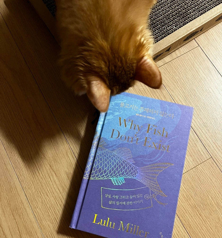 IMG_7799.jpg?type=w1