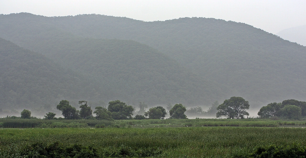 경안천 습지20170724 009.JPG
