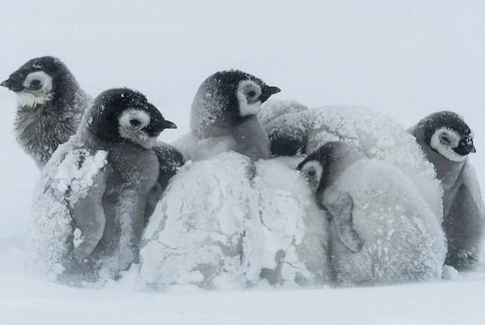 IrIb6Tb3e_in_w4ds6rUzy42o2PI.jpg?type=w1200