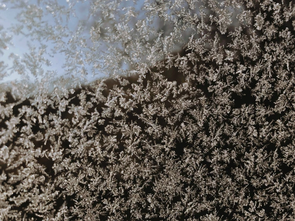 SE-97ea9ca8-1b6c-4ca3-b025-ba9bea7ca1c7.jpg?type=w1