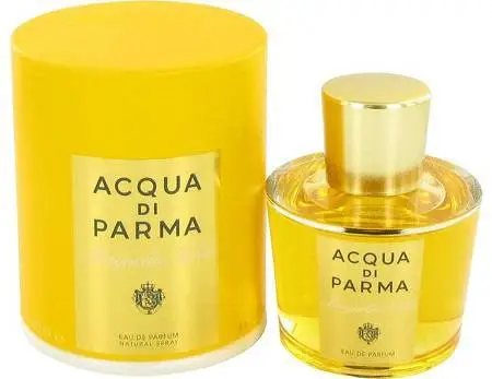 217DCE415528E1B5325D05