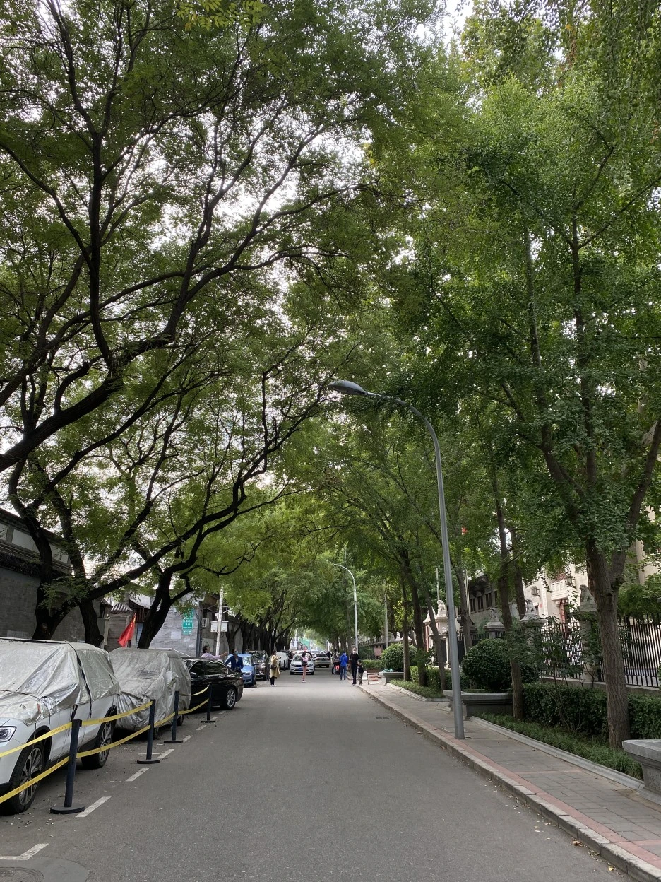 IMG_5581.JPG?type=w1