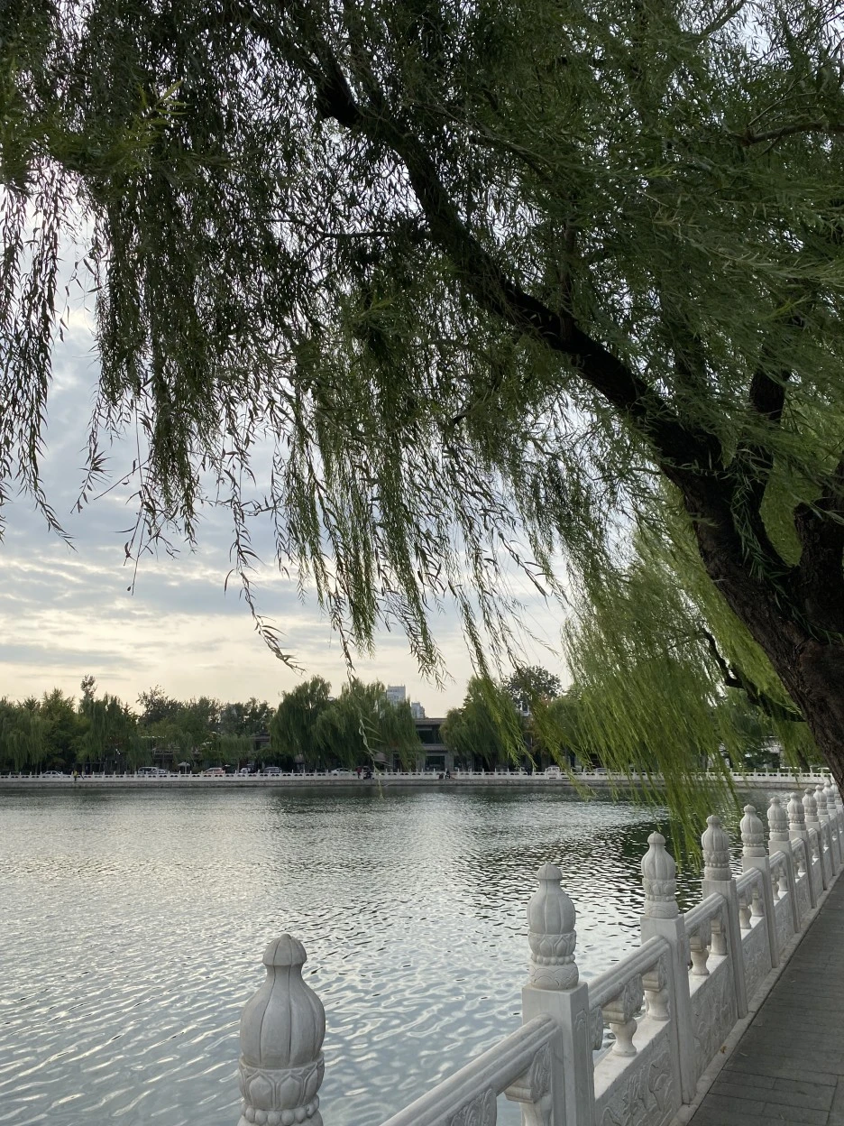 IMG_5668.JPG?type=w1