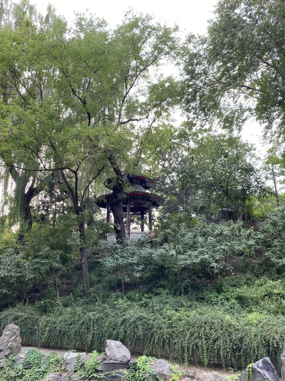 IMG_5732.JPG?type=w1