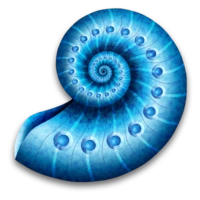 26160C4F5524A657099A92