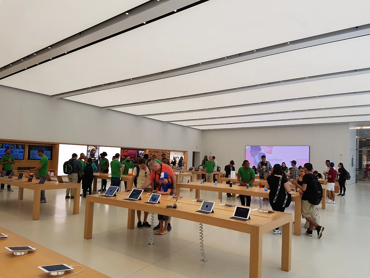 Ek2qqJlUn_XE2qyL3wzMezOd-ulXRODys4ly_avklj9fD7xLxXXO0Dm7Ga6fLZX8h-apkGERf2KMPqcpfwAh8vlN2-gZTCFFQ8BfOoiJTk9LejS4zlFhn-_6ds97GlISOylxk1y0