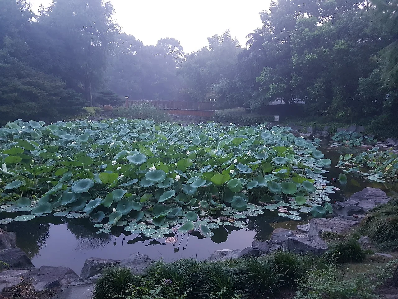 hxQ5SUttlWzjDq9Uo6_ET-8xoWbUn_U5jskQd0e2sZ15onKCq_ajrtQ6PIwwQS2lMYk7HTh7UsZZyfacYM2l7_CmUjW08ZjSOp4EBtuhLmp7wOg0vtL20vO9HhdZwPua_0gTzQXx