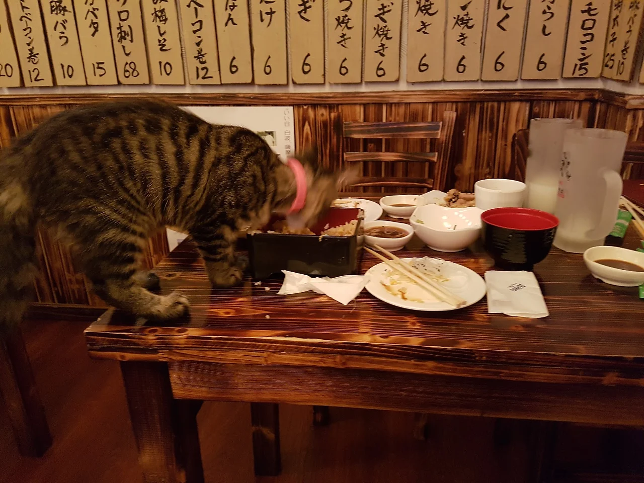 BgNsx4TxuOjHtHQN77TXoQaSk8-NsmbdUS1JYQ117Jr_z6z6TvzXpuZSORbc8aUg7D6WLr6g-EKSxOIt_dA3QmVjSPliufWmNFBOU6ixtQu3fNoLfCqItVDJnSAYNI0ddsoAmuOh