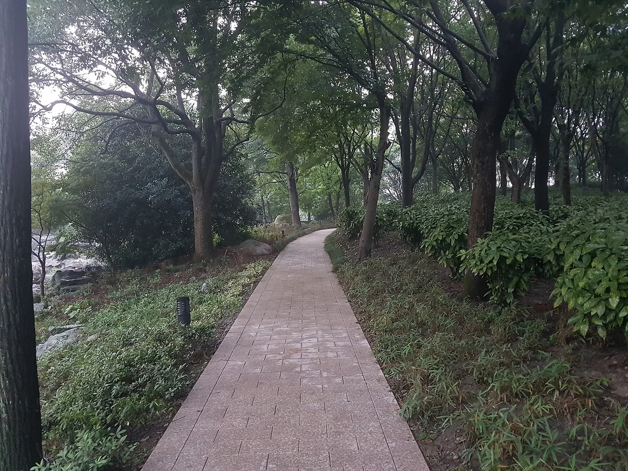 mA-AOjauFX3R4eGjiosuLA1SYF1Mr4qsjrz6vdb9NDDMqqCMHyQ4UnXKCLhiX-2g3OsOTfeZVnJDByOsuScAMGC9PUK2XDkaEZO8JUbDWcmLdNPNCZguUsHhsUm4-O4eFpNpUpm7