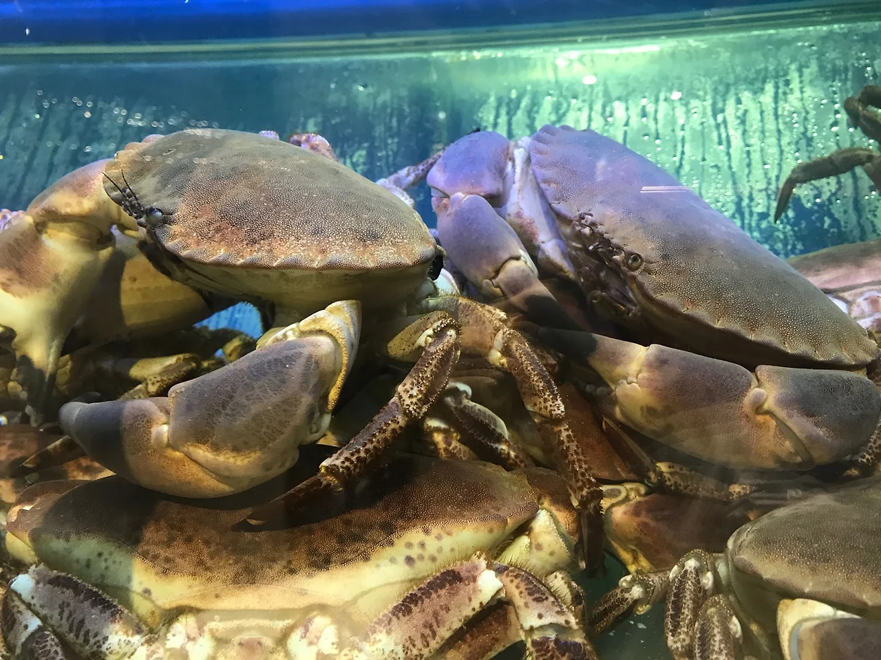 oMASYw-rOiT2nqGU3lE1dleOD7eEBoiMkGnk6Z0pFSvatsTCwfBWs9GSWUagqqw_Kjx8SWNk5WZZCV0qW4W6-RtD_H-NS8IsQRZvKvnvWNMTTud8lA5X31JJiCsThJLbbfOOMmkC