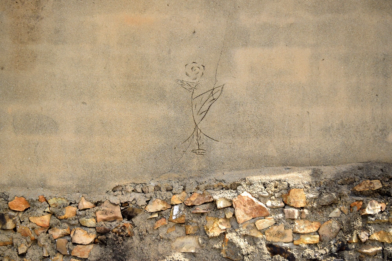 압해도 복룡리.JPG