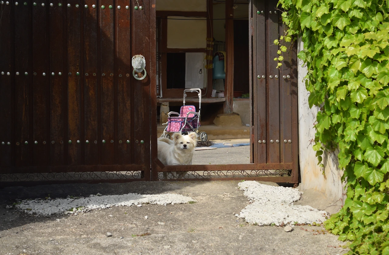 압해도 가룡리.JPG