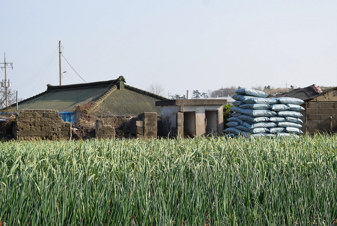 압해읍 신용리.JPG