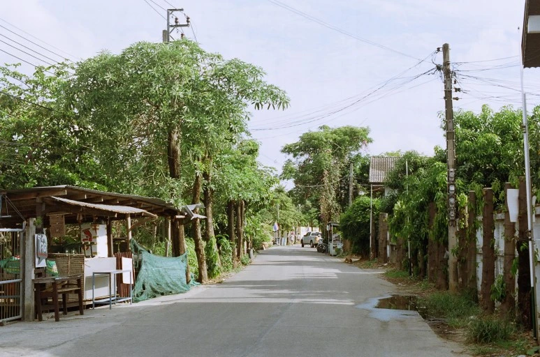 81350034.JPG?type=w773