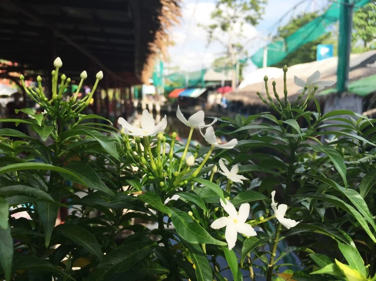 IMG_1335.jpg?type=w773