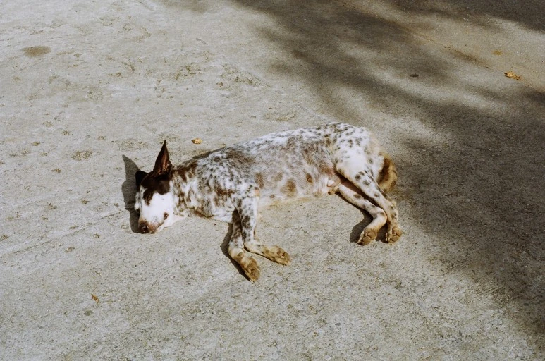 81350036.JPG?type=w773