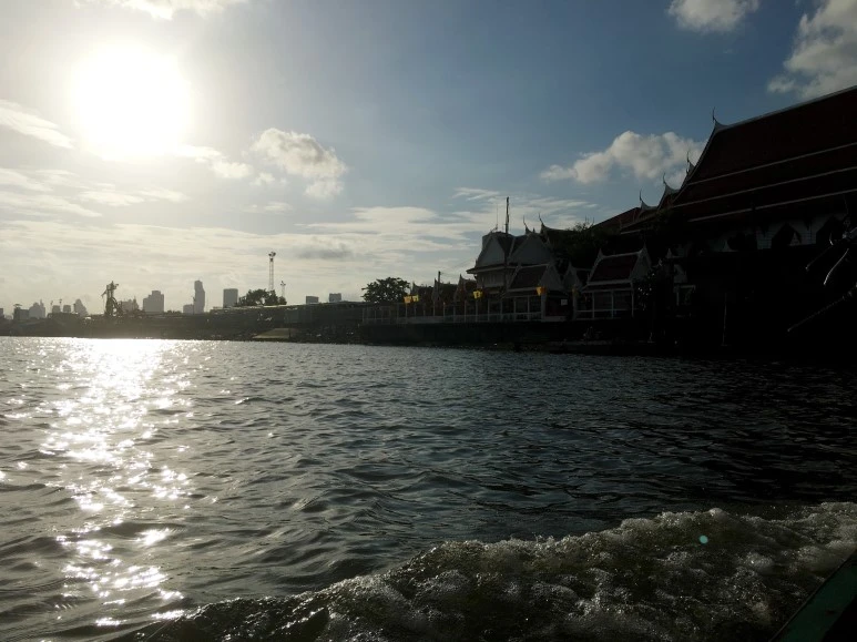 IMG_1349.jpg?type=w773